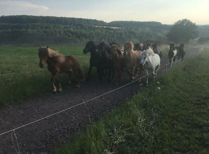 Alexa Διαμέρισμα *